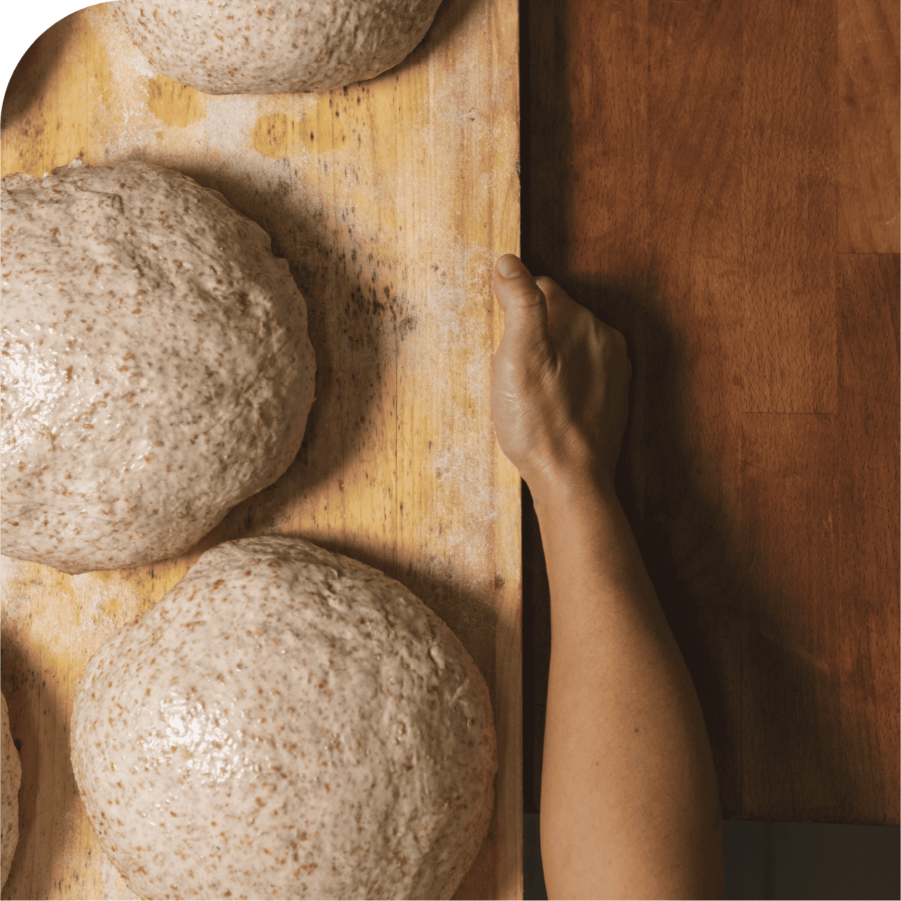 metti_le_mani_in_pasta_spacciagrani(1)